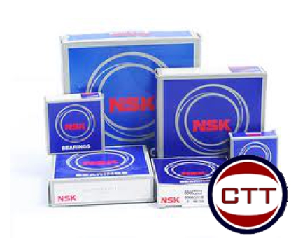 BẠC ĐẠN NSK