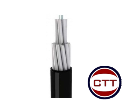 DÂY ĐIỆN NHÔM AV95MM-0.6/1KV CADIVI
