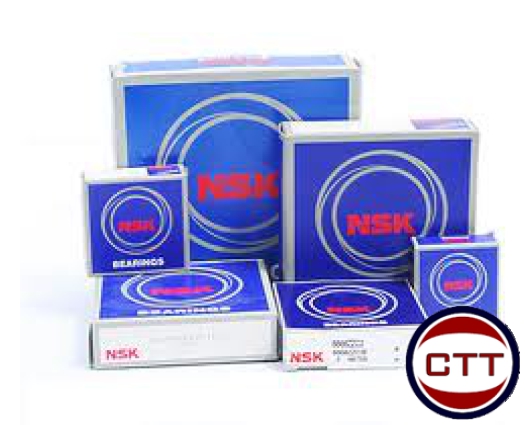 BẠC ĐẠN NSK