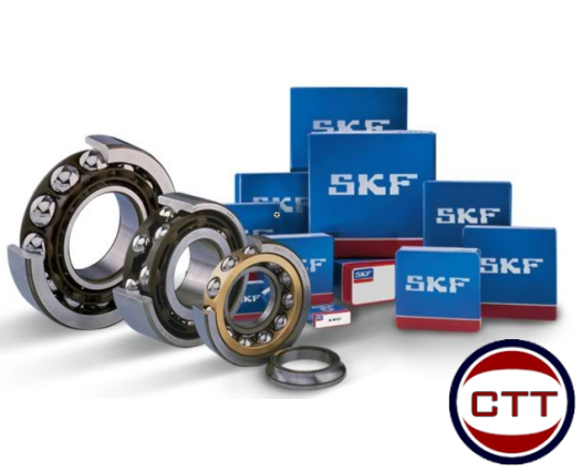 BẠC ĐẠN SKF